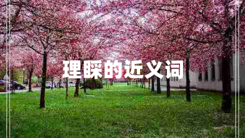 理睬的近義詞