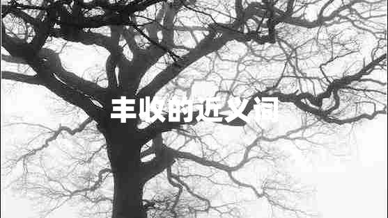 豐收的近義詞