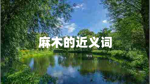 麻木的近義詞