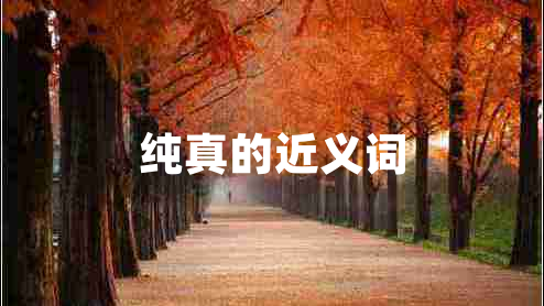 純真的近義詞