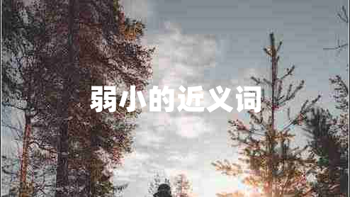 弱小的近義詞