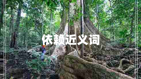 依賴近義詞