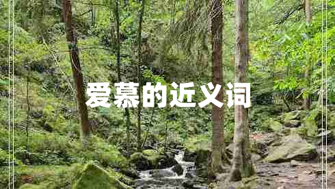 愛慕的近義詞