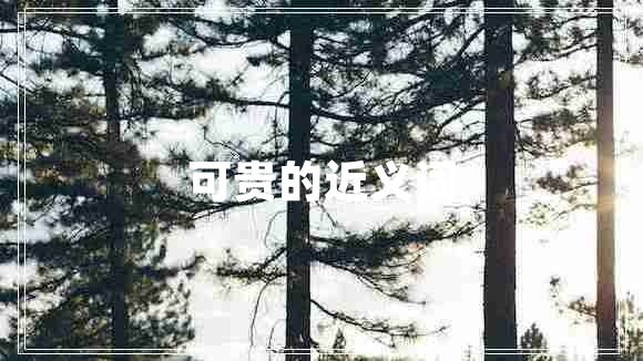 可貴的近義詞