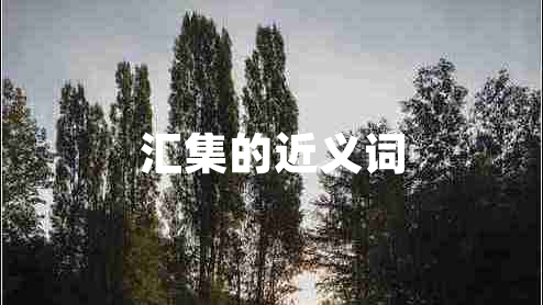 匯集的近義詞