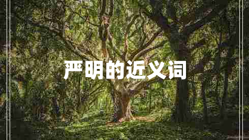 嚴明的近義詞