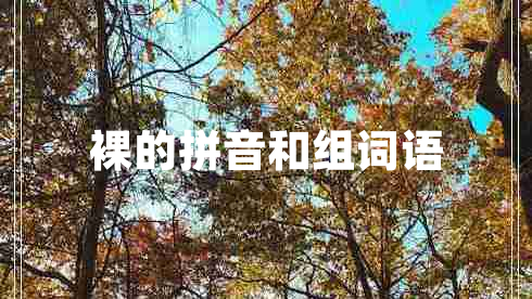 裸的拼音和組詞語