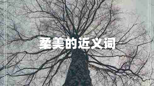 柔美的近義詞