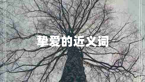 摯愛(ài)的近義詞