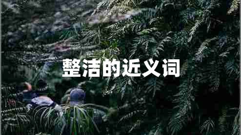 整潔的近義詞