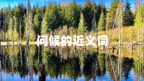 問(wèn)候的近義詞