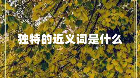 獨(dú)特的近義詞是什么