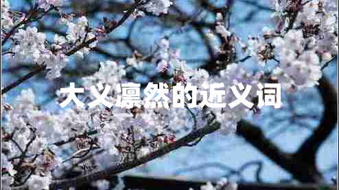 大義凜然的近義詞