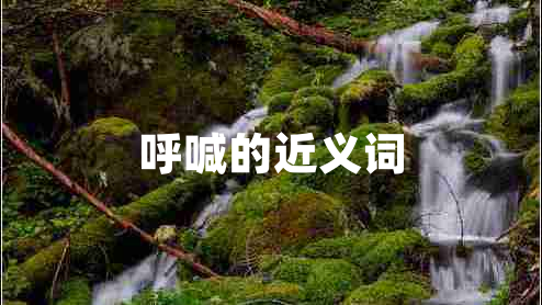 呼喊的近義詞