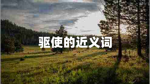 驅(qū)使的近義詞
