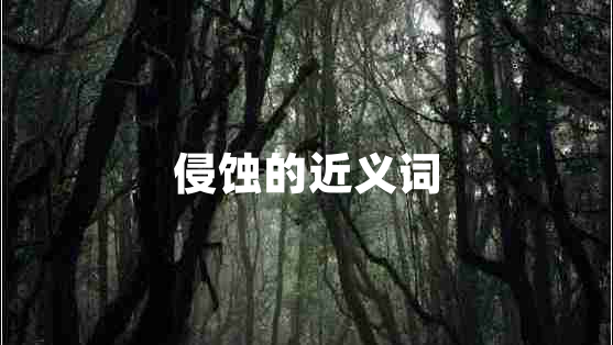 侵蝕的近義詞