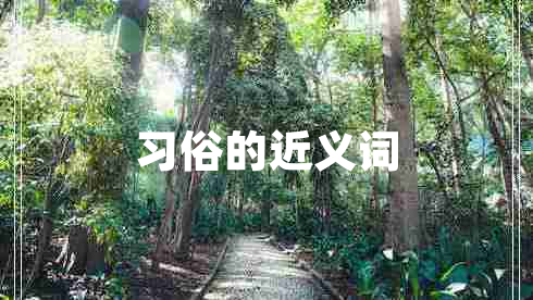 習(xí)俗的近義詞