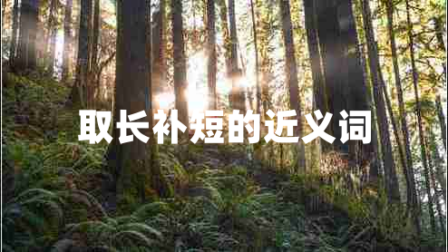 取長補短的近義詞
