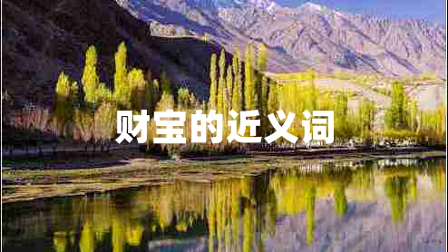 財(cái)寶的近義詞