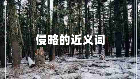 侵略的近義詞