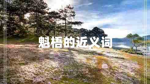 魁梧的近義詞