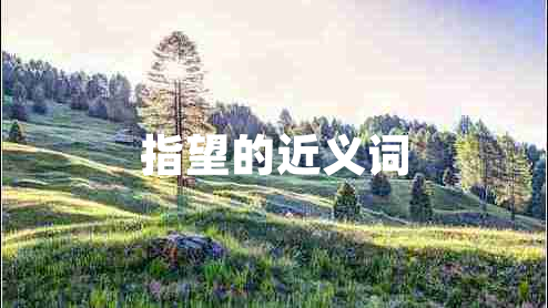 指望的近義詞