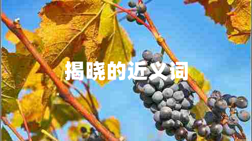 揭曉的近義詞