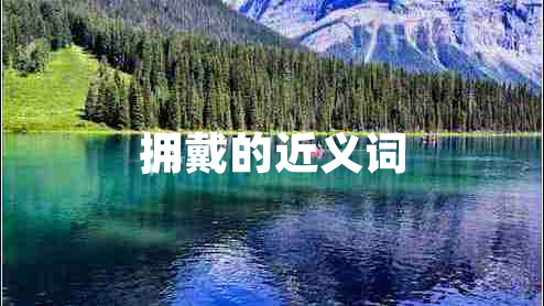 擁戴的近義詞