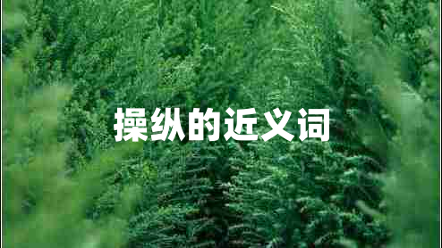 操縱的近義詞