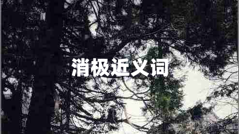 消極近義詞