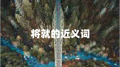 將就的近義詞