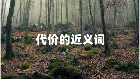 代價的近義詞