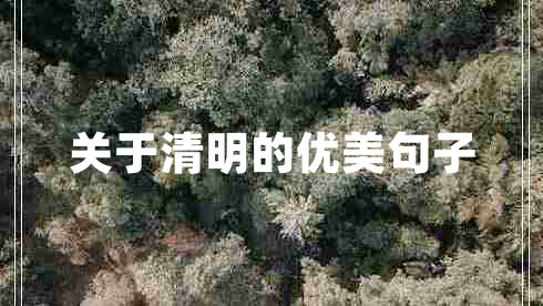 關(guān)于清明的優(yōu)美句子