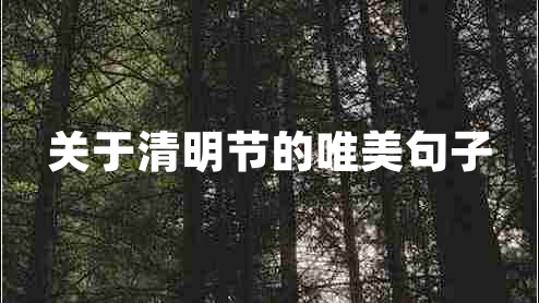 關于清明節(jié)的唯美句子