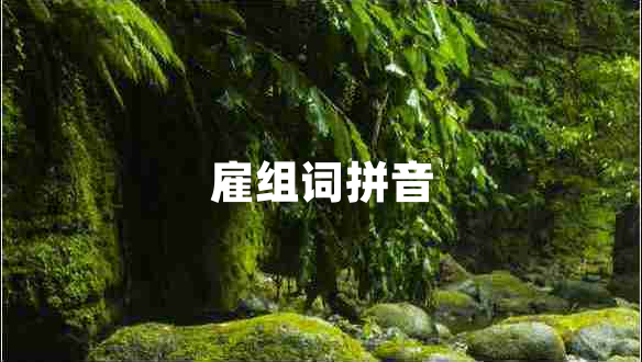 雇組詞拼音