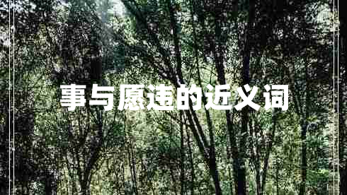 事與愿違的近義詞