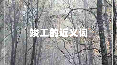 竣工的近義詞