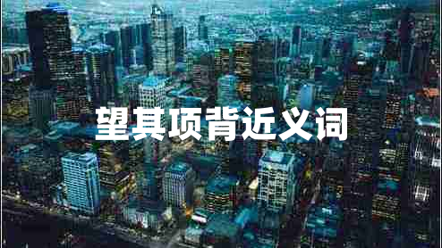 望其項(xiàng)背近義詞