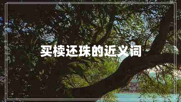買櫝還珠的近義詞