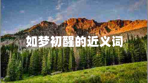 如夢初醒的近義詞