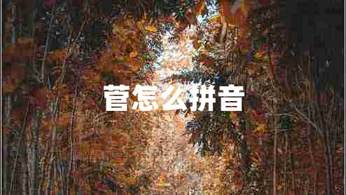 菅怎么拼音