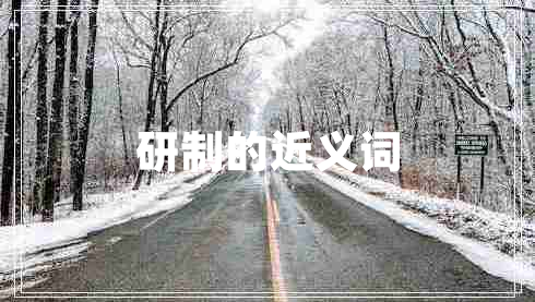 研制的近義詞