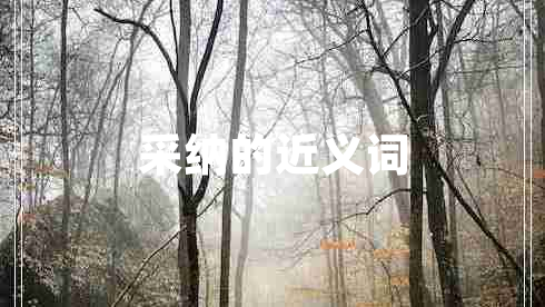 采納的近義詞