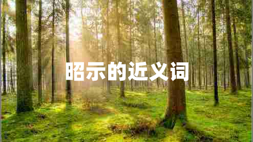 昭示的近義詞