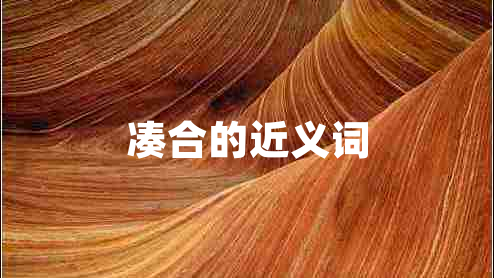 湊合的近義詞