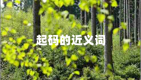 起碼的近義詞
