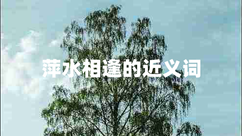 萍水相逢的近義詞