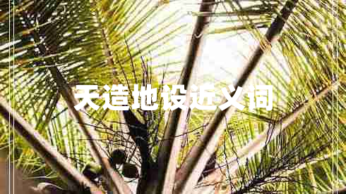 天造地設(shè)近義詞