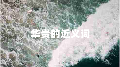華貴的近義詞