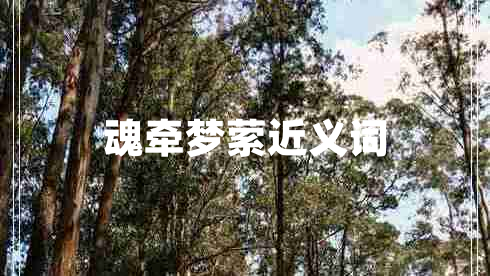 魂牽夢縈近義詞